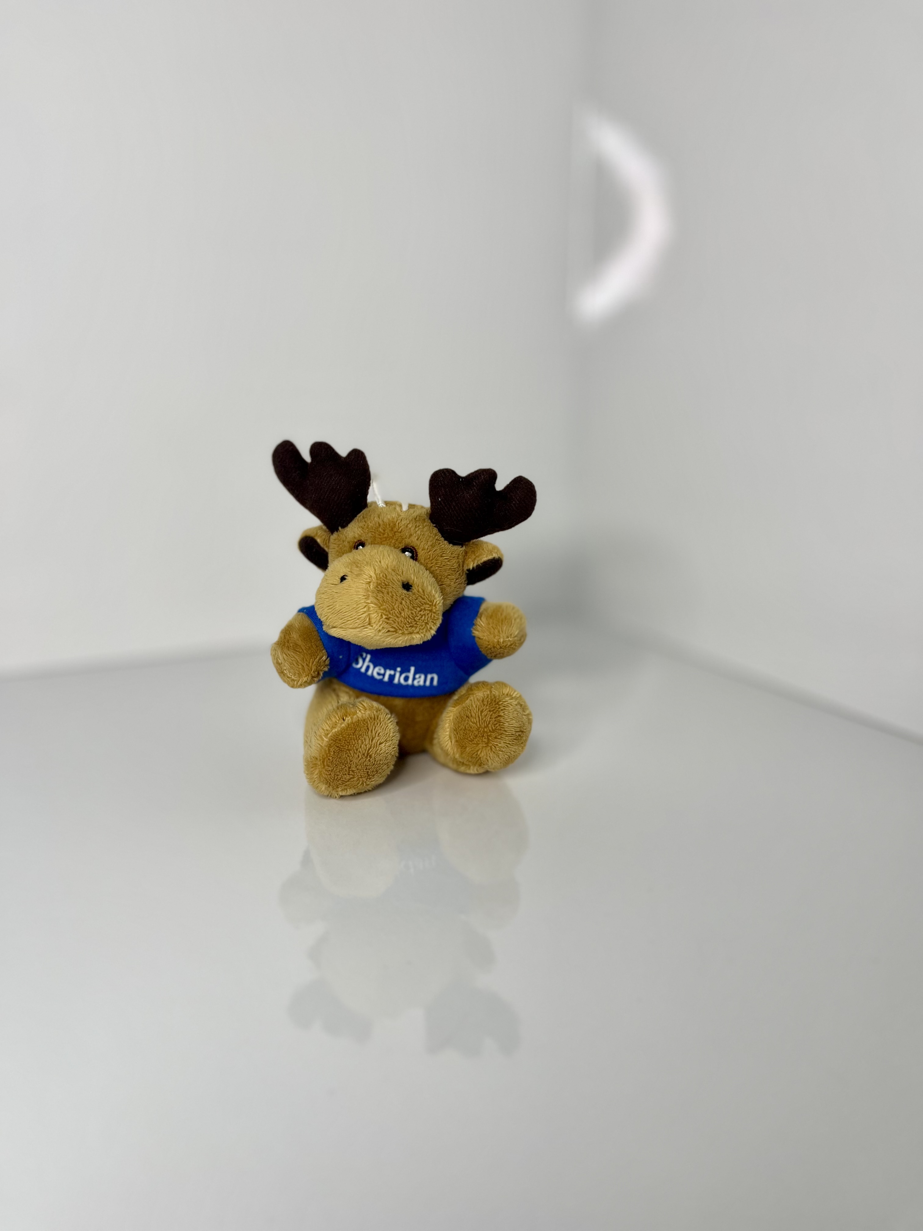 The same plush moose is shown at a greater distance, with its soft body and antlers clearly visible.