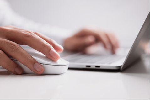 The mouse shows controlled interaction.